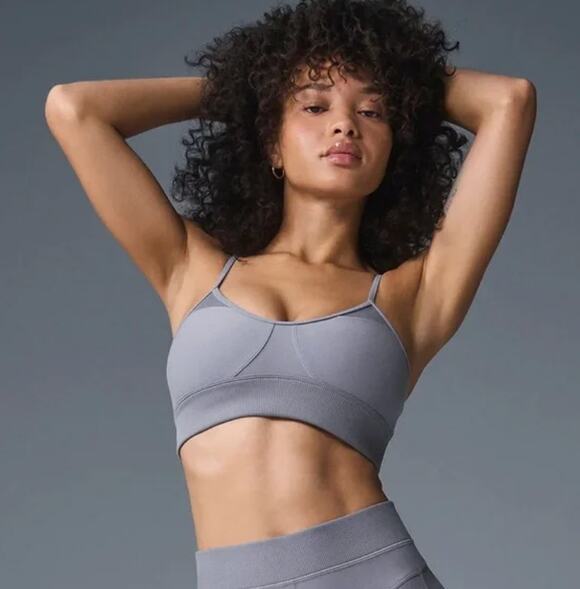 ALO Yoga Other - Alo Yoga Alosoft Head Start Sports Bra Purple XS NWT